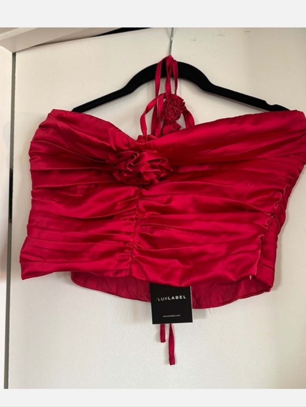 JLUXLABEL Berry 🍒ROSETTE🌹 Strapless Red Ruched Top - Picture 3 of 7